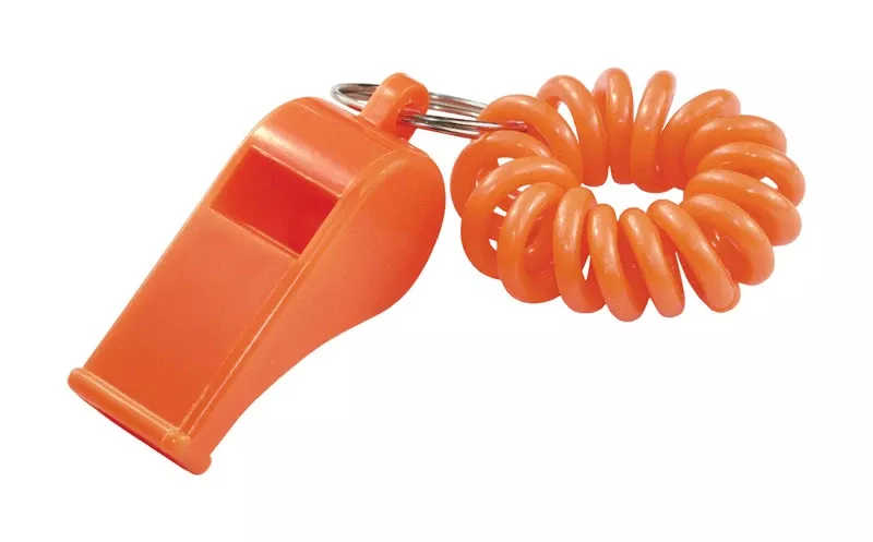 WRST COIL KEY CHAIN PLST